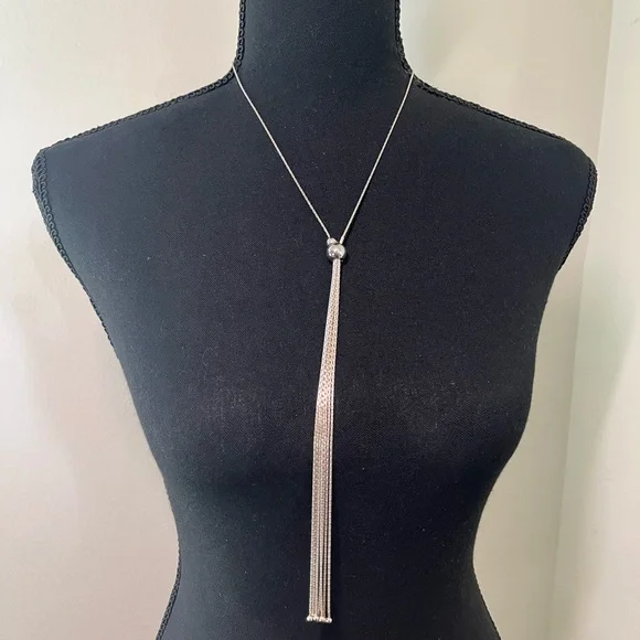 What a Fun Chain Necklace! 19” Silver Plated Necklace with 8”Fringe. - Picture 1 of 4